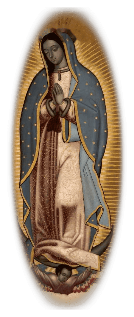 Nossa Senhora de Guadalupe, padroeira da coleção 2026